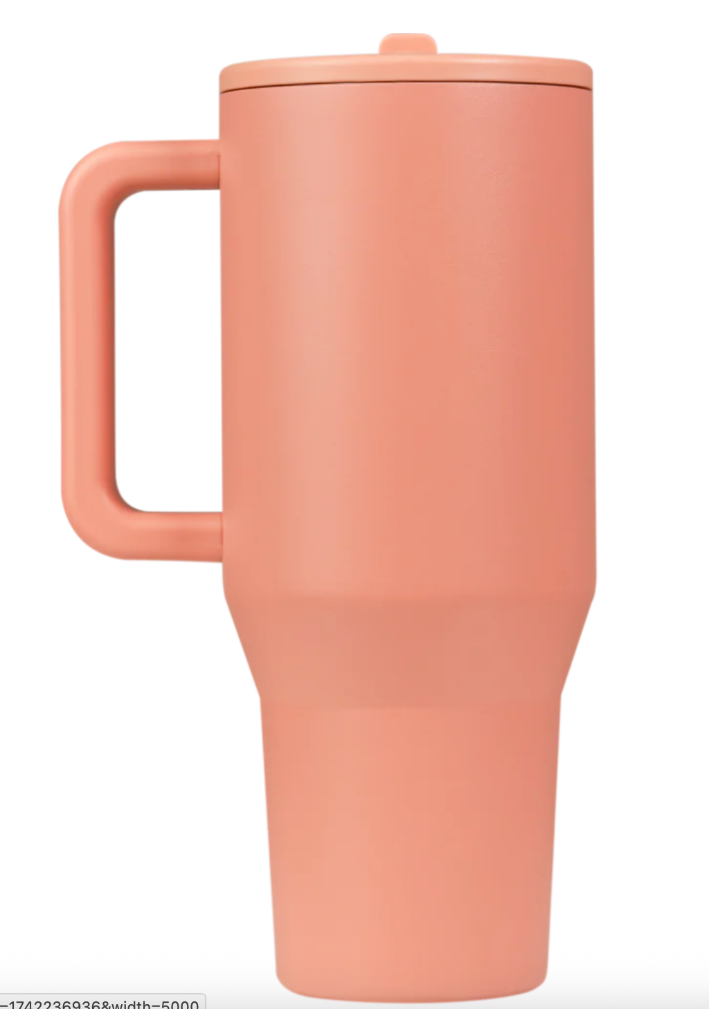 HYDROJUG TRAVELER- 40 OZ Dahlia