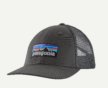 Patagonia P-6 Logo LoPro Trucker Hat