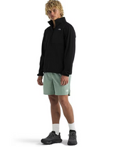 The North Face Mens Performance Fleece Long Sleeve 1/4 Zip Pullover
