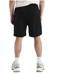 The North Face Mens Evolution EMB Shorts