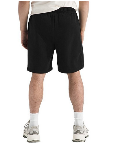 The North Face Mens Evolution EMB Shorts