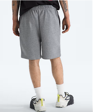 The North Face Mens Evolution EMB Shorts