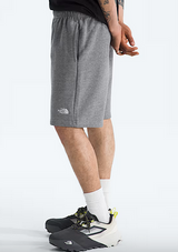 The North Face Mens Evolution EMB Shorts