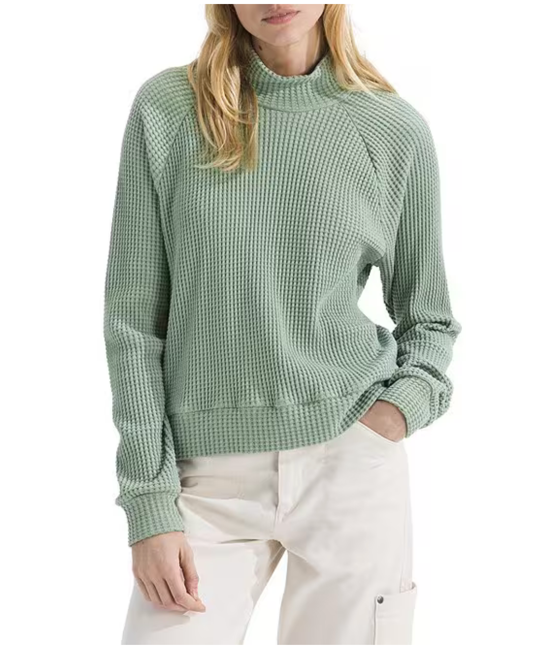 The North Face Chabot Cotton Thermal Knit Mock Neck Long Sleeve Top