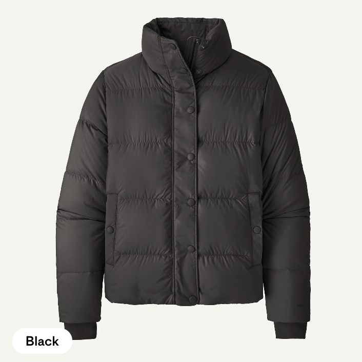 Patagonia Women's Silent Down Jacket