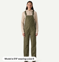 Patagonia Women's Point Reyes Canvas Overalls