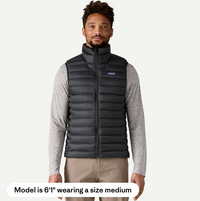 Patagonia Men's Down Sweater™ Vest