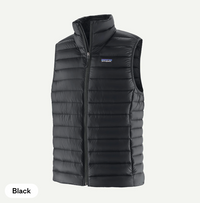 Patagonia Men's Down Sweater™ Vest