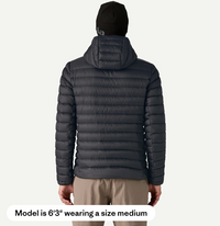 Patagonia Men's Down Sweater™ Hoody