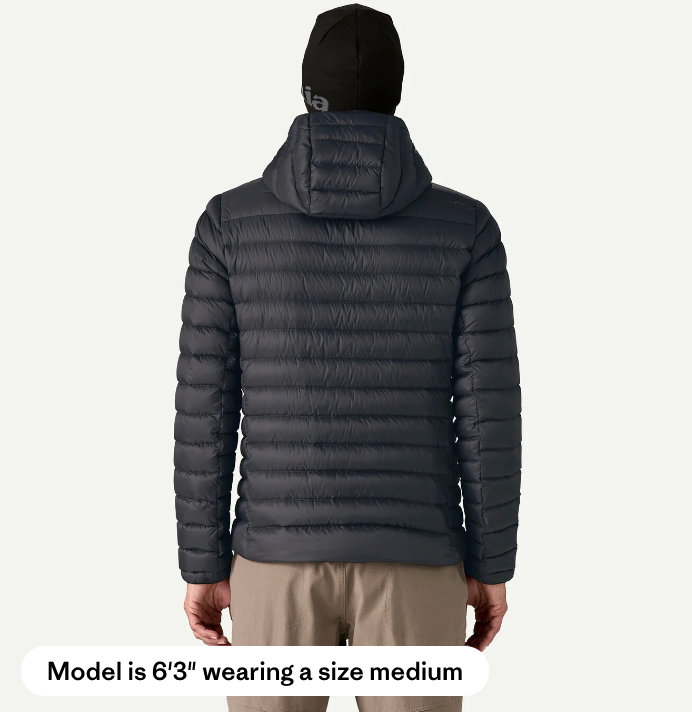 Patagonia Men's Down Sweater™ Hoody